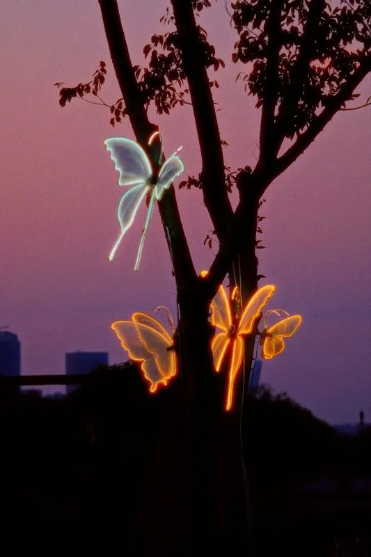 jimmy-chang-GGHt_AeiFYE-unsplash©Jimmy Chang sur unsplash