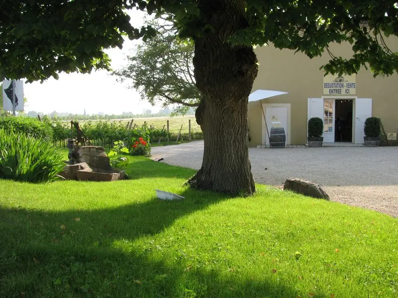 la-vieille-bergerie (3)