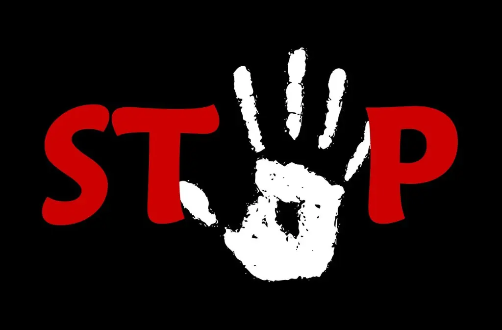 luttecontrelesviolences_eymet_30-11