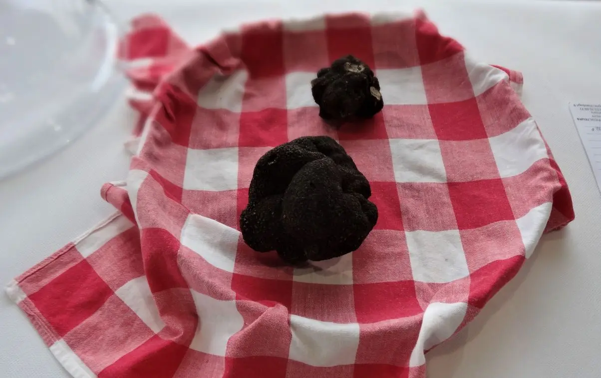 marché aux truffes Neuvic mardi