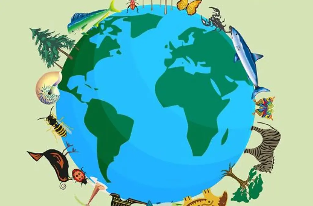 médiathèque Bergerac