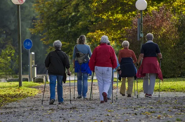 nordic-walking-1814784_640