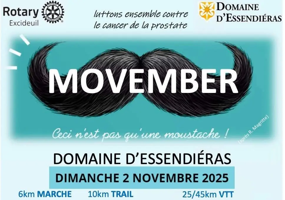 nov 2 movember