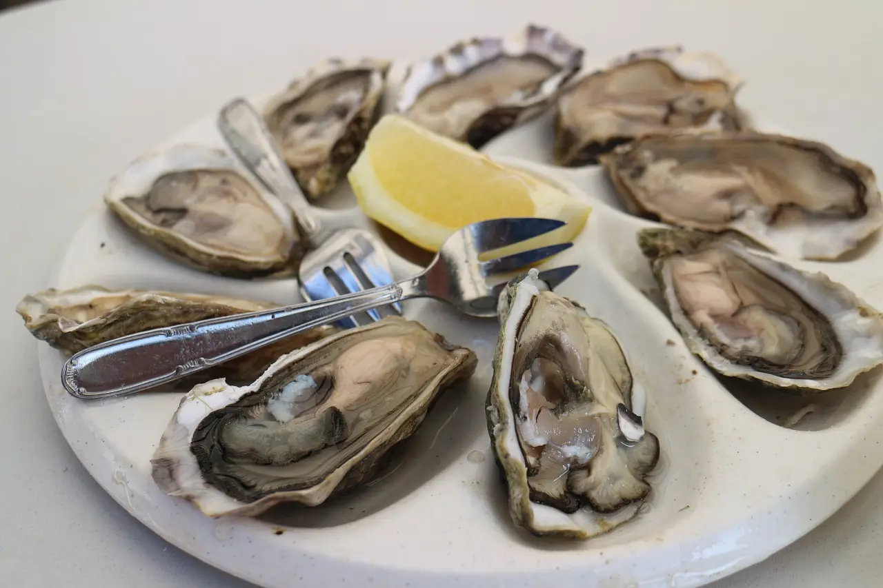 oysters-6805970_1280
