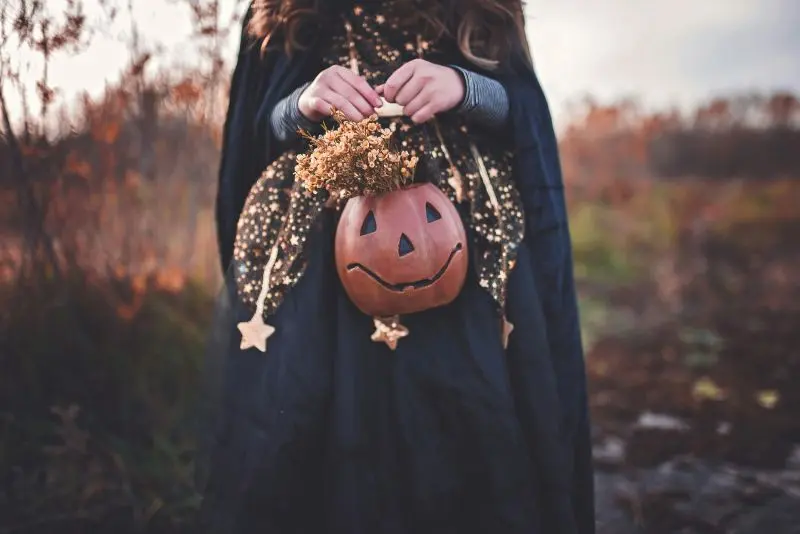 paige-cody-nHxG9tP2ElE-unsplash©Page Cody sur unsplash