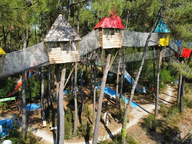 Les cabanes de la Cité Perchée