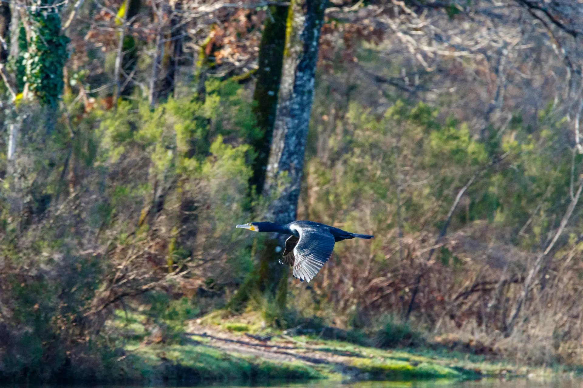 expo-photo-club-montponnais-montpon-vallee-isle-perigord