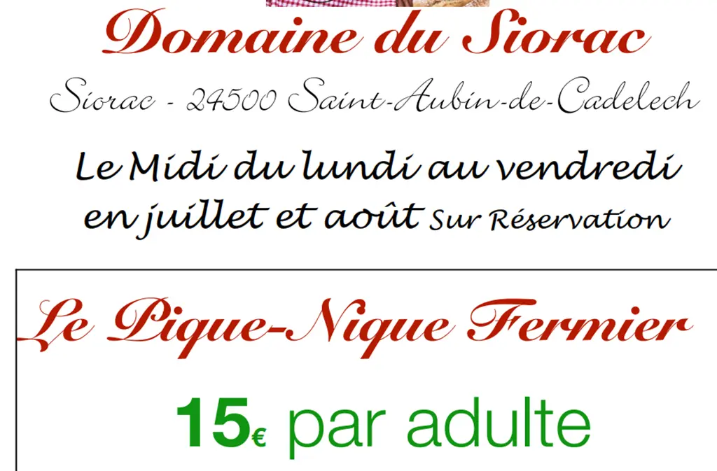 pique nique vigneron