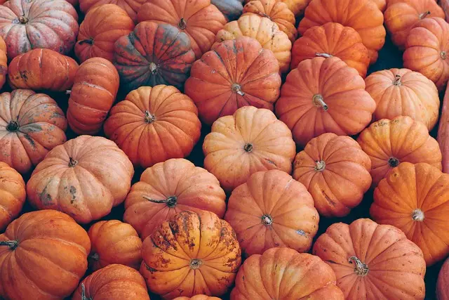 pumpkin-7496159_640