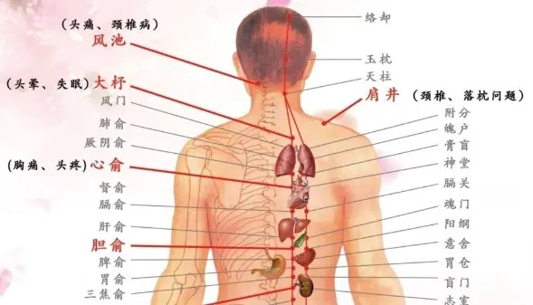 Atelier auto-massage