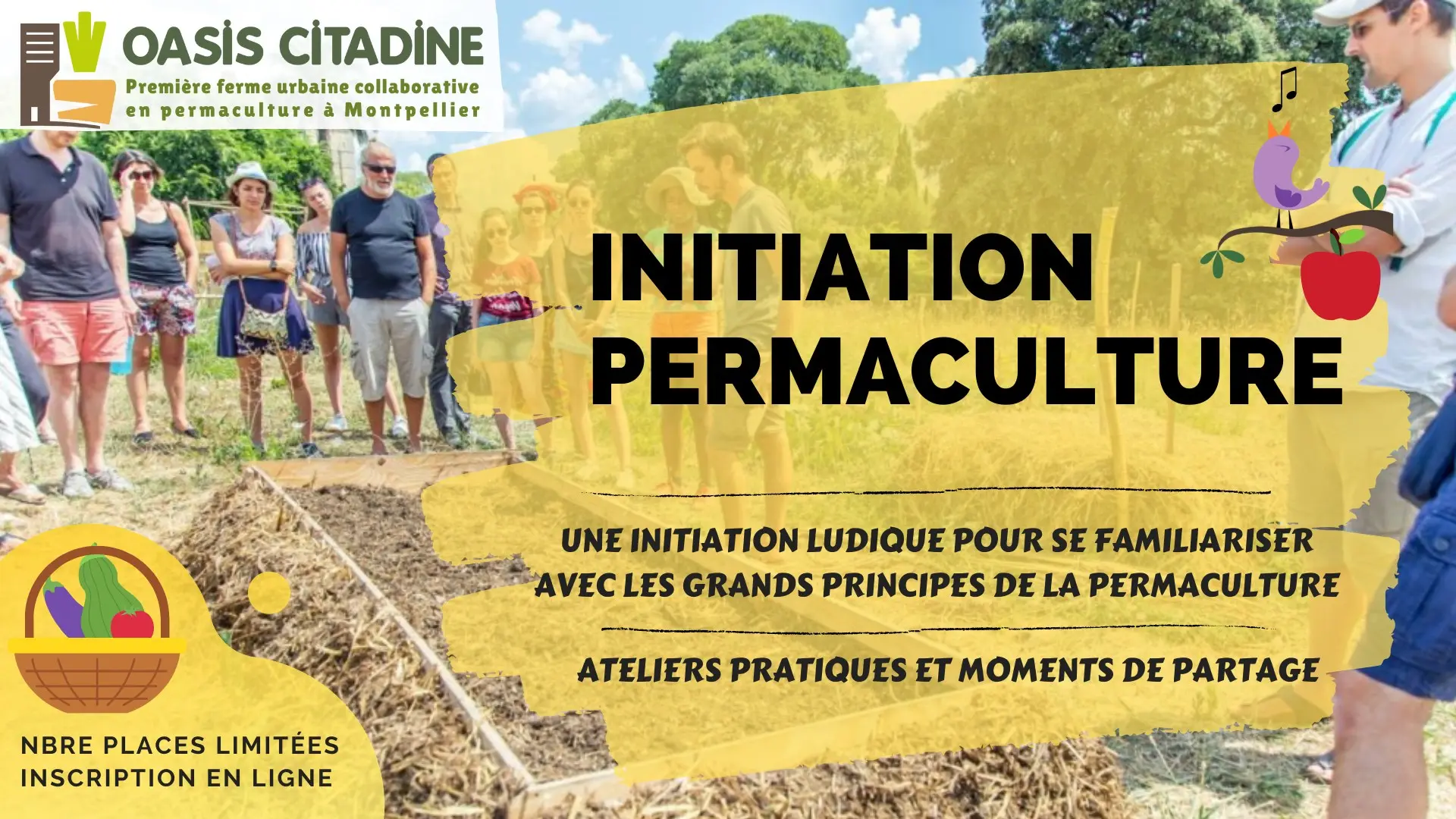 Oasis Citadine