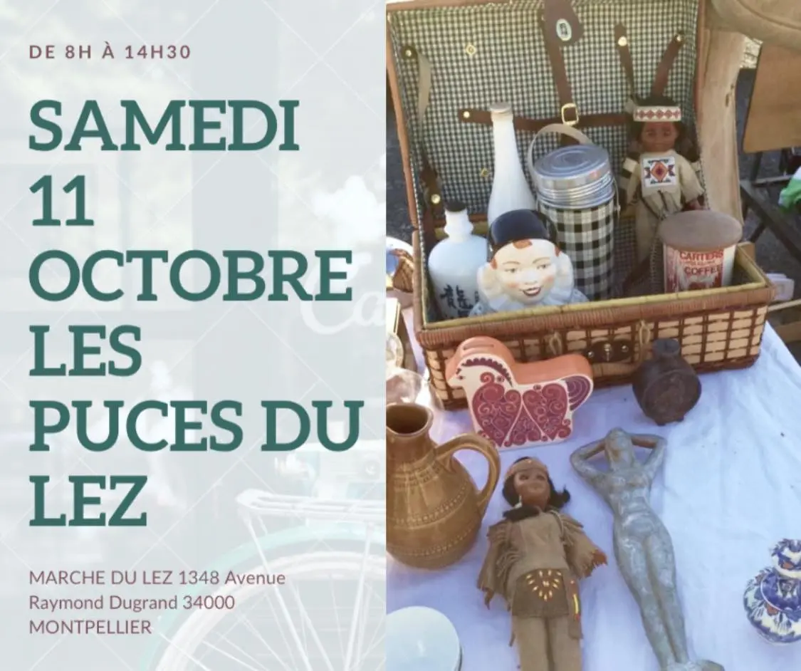 Puces du lez
