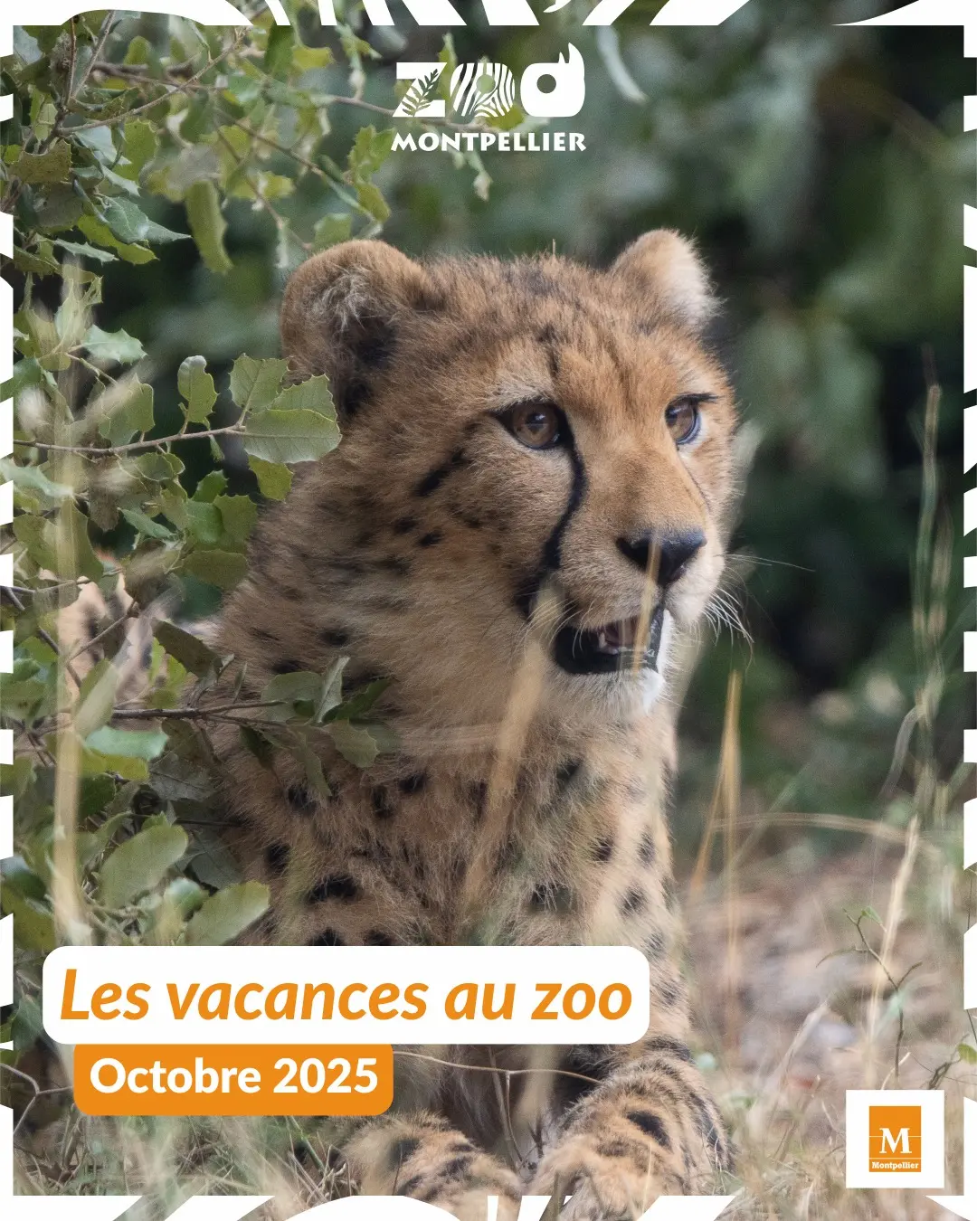Mes vacances automne