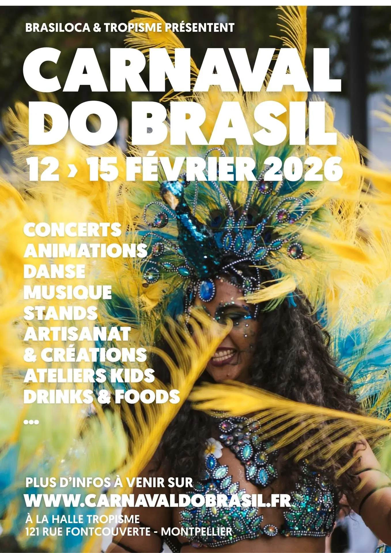 Carnaval Do Brasil