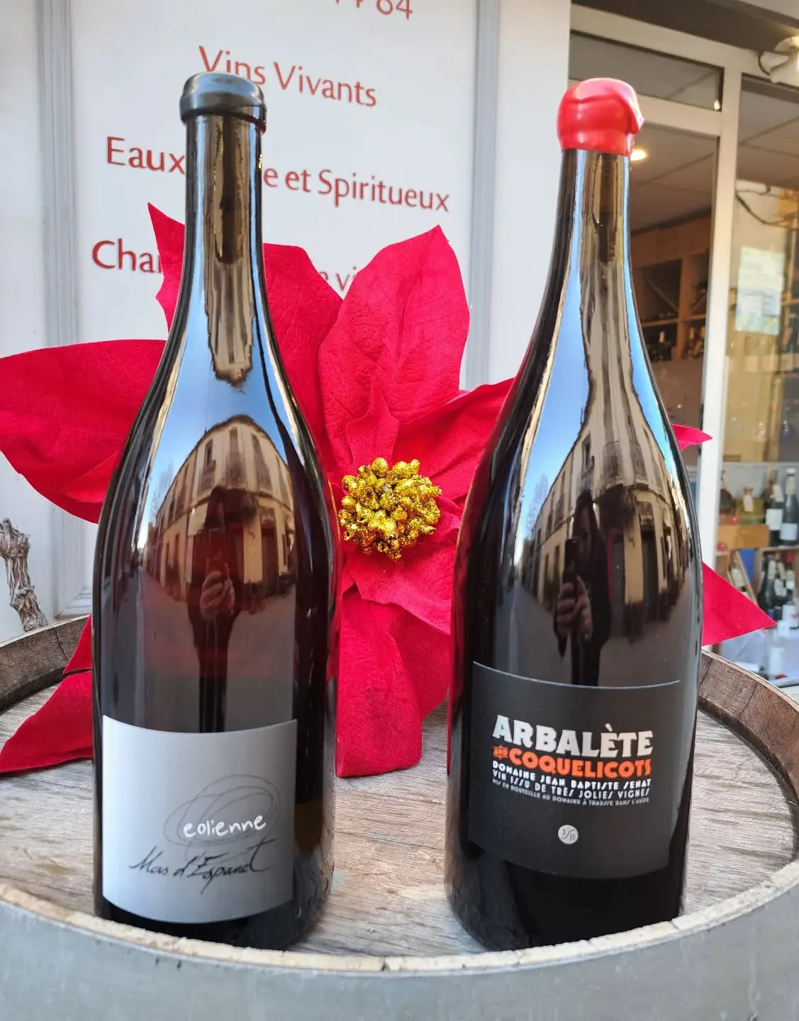 Dégustation de Magnums