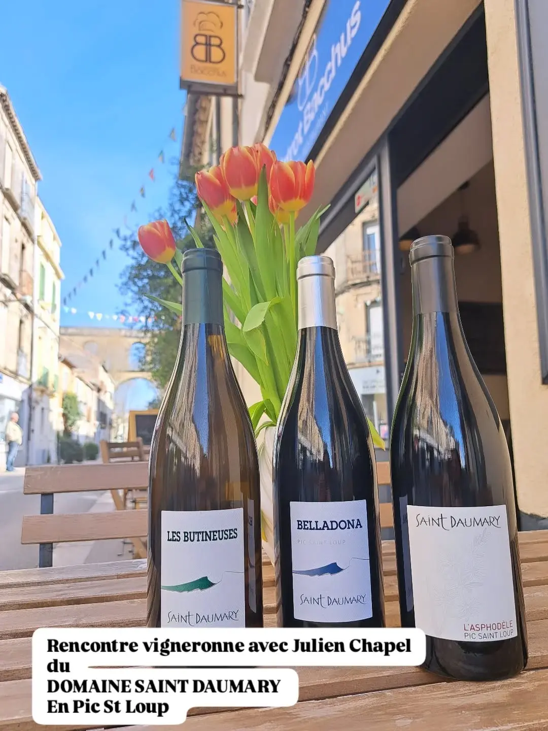 Domaine Saint Daumary