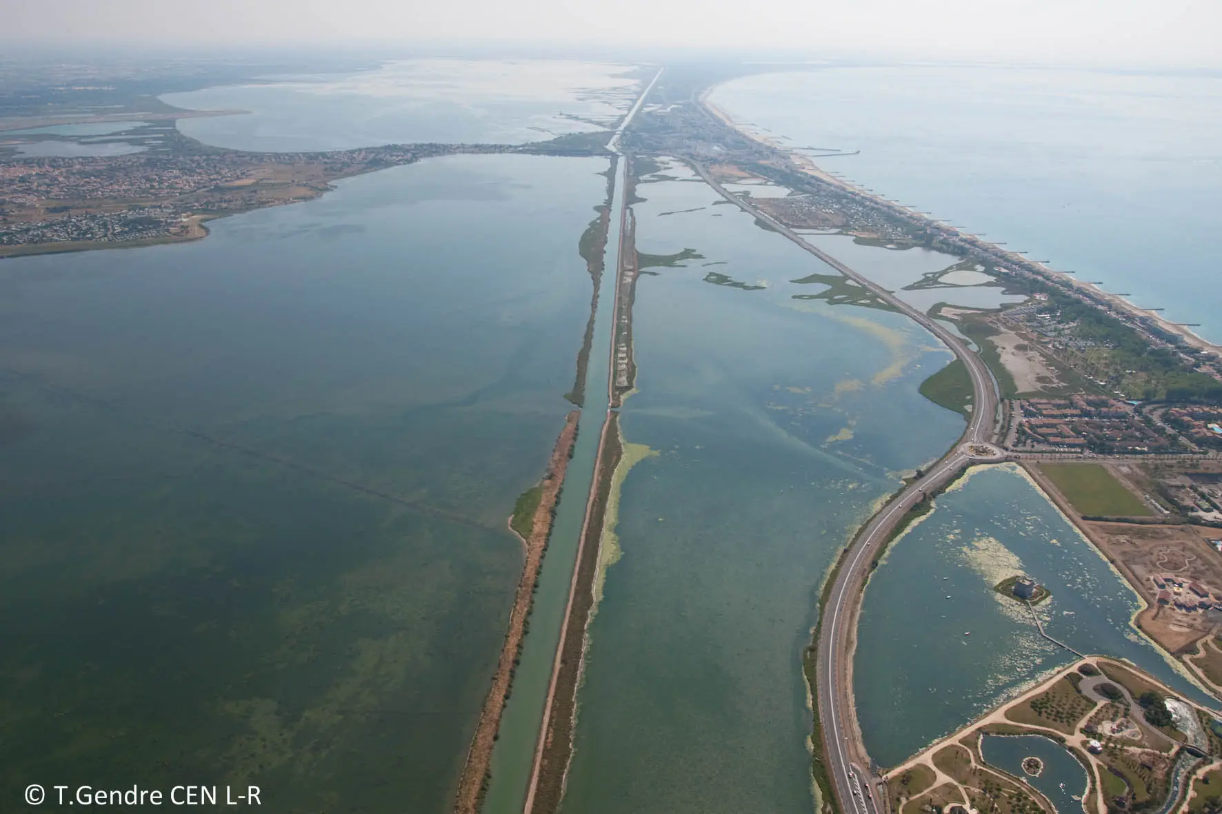 _Etangs_palavasiens_1_Thomas_Gendre_CEN_L_R