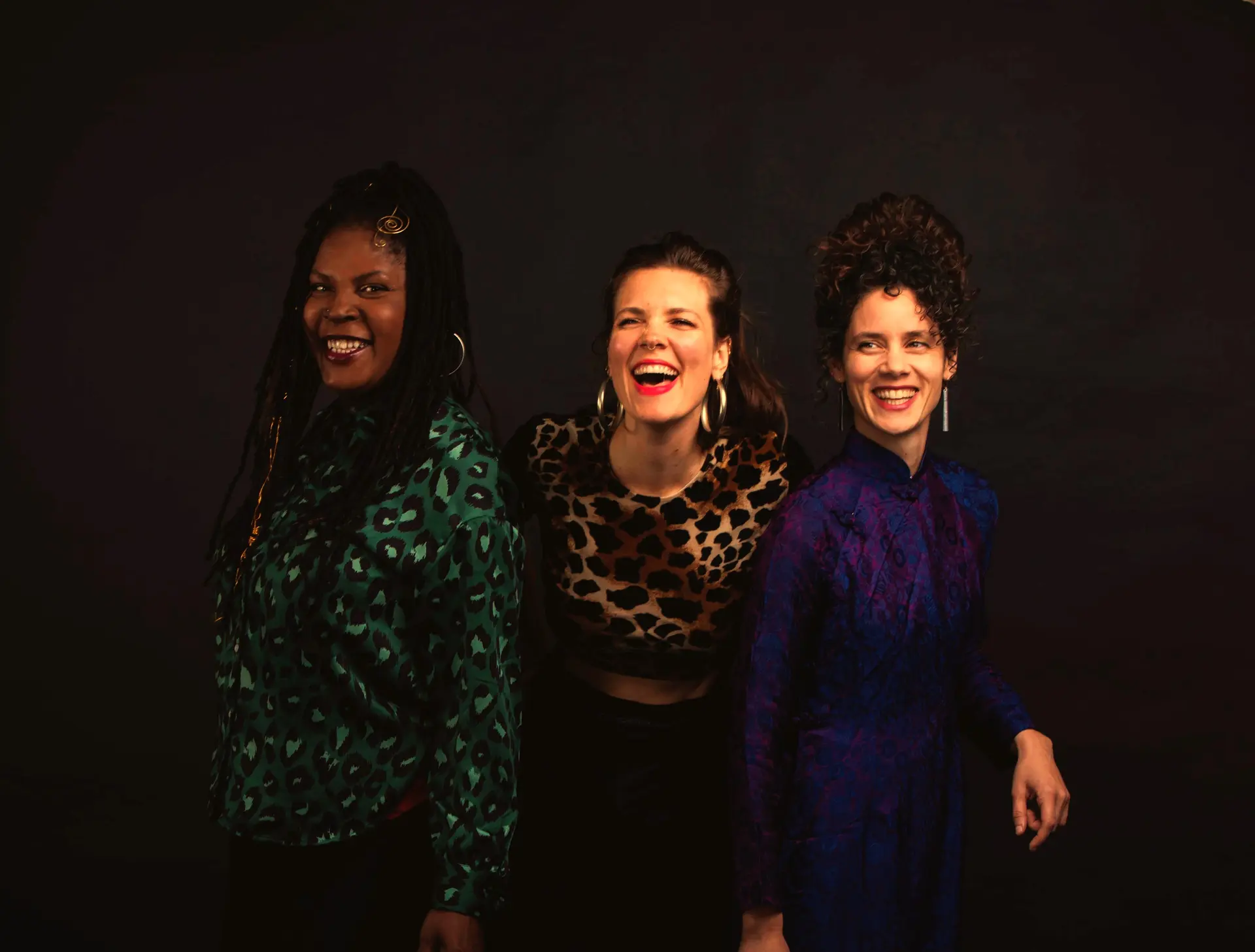 Concert les Steadies