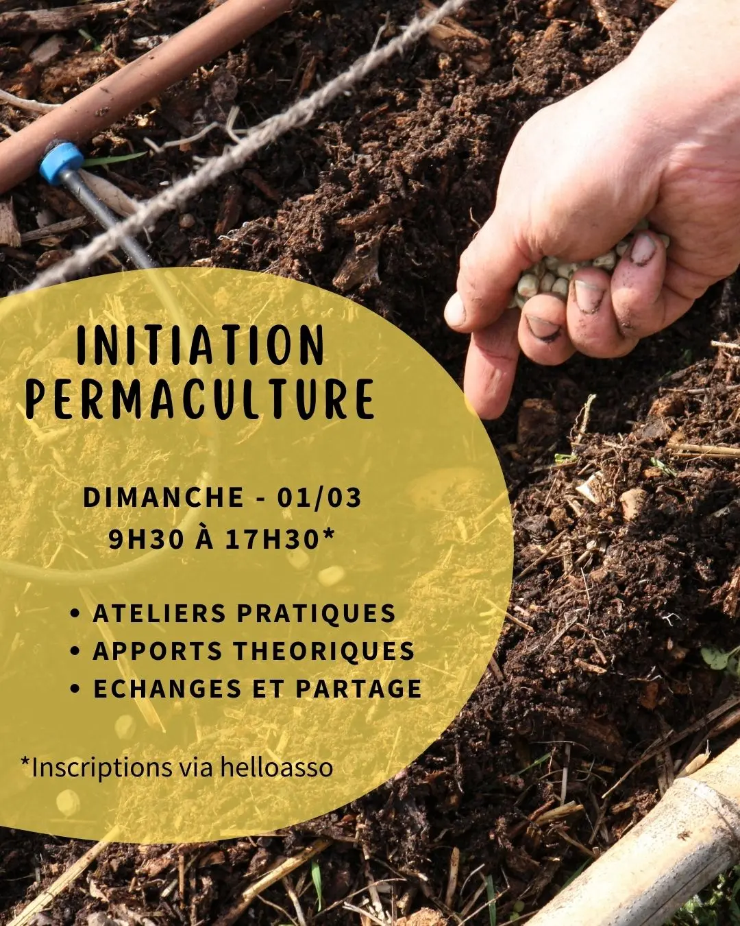 Formation post/storie - 01/03/26