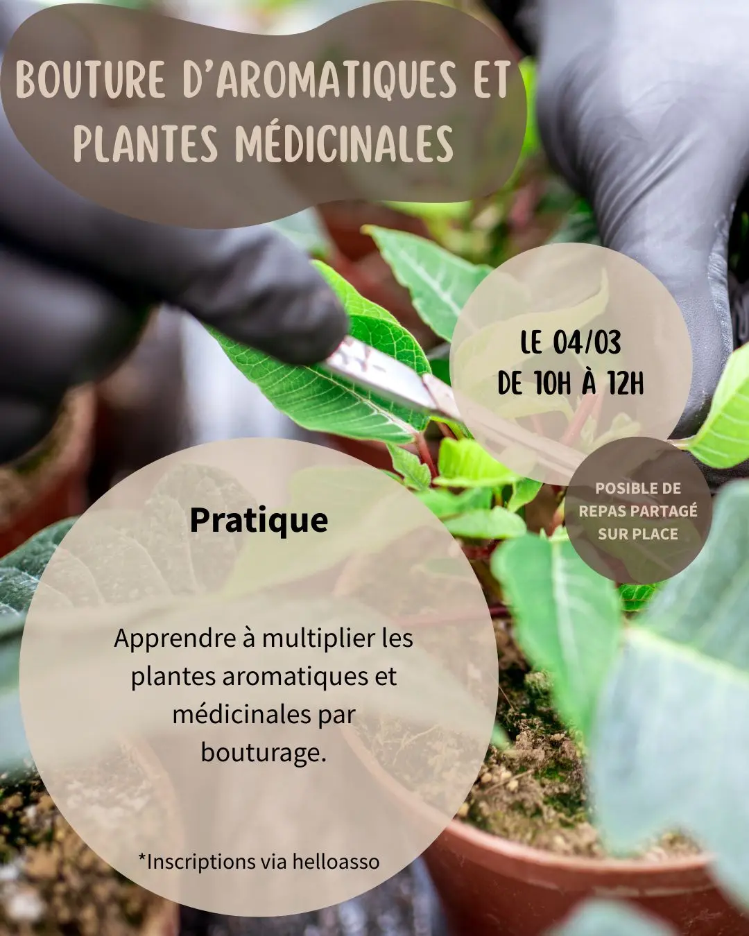 Ateliers jardin  - 04/03/26