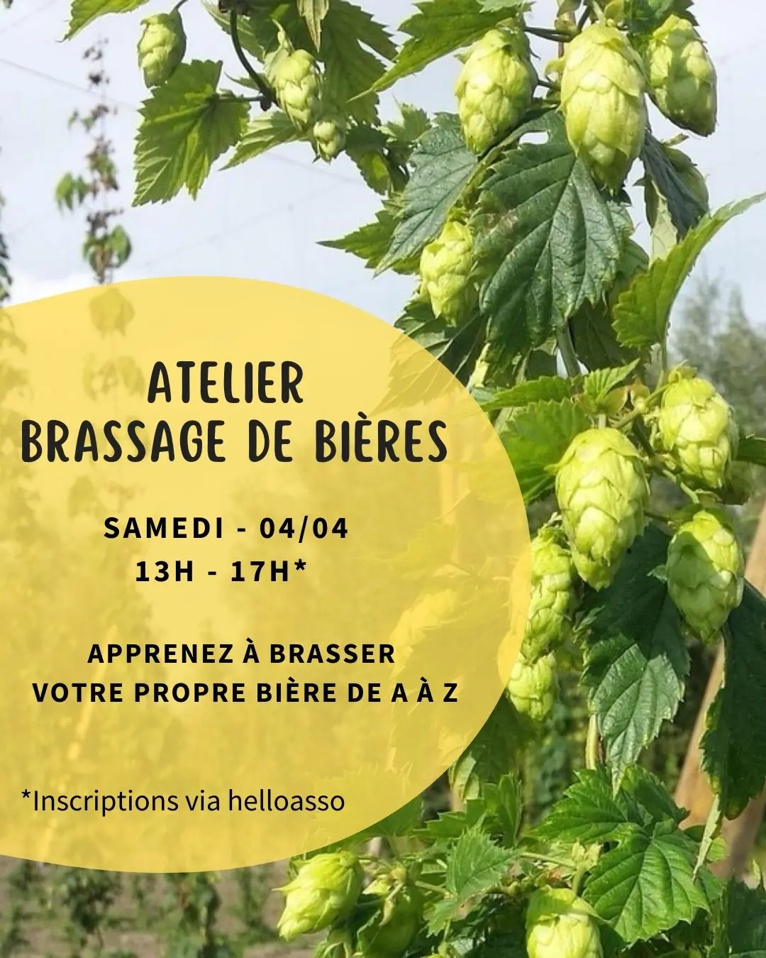 Formation post/storie - 04/04/26