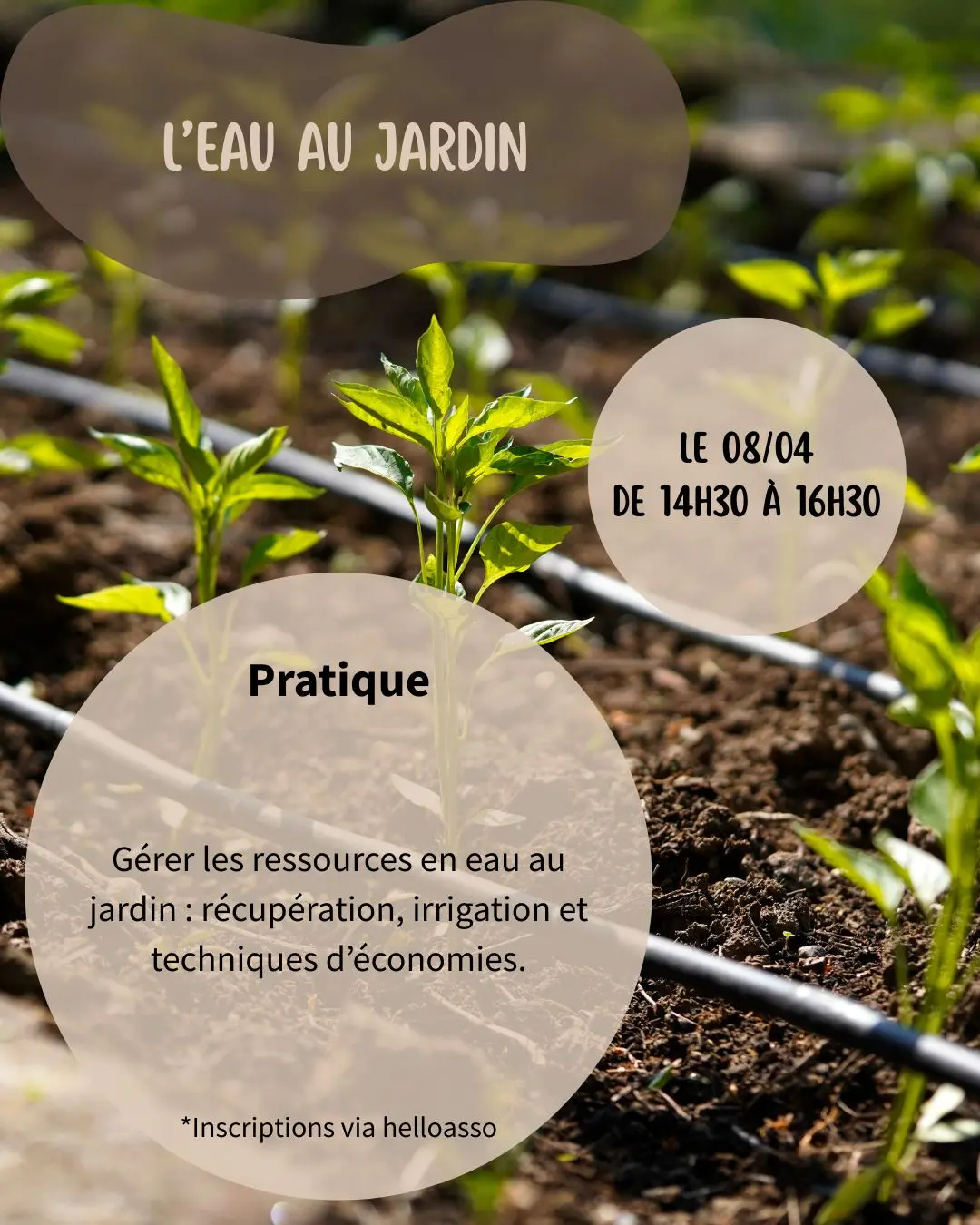 Ateliers jardin  - 08/04/26