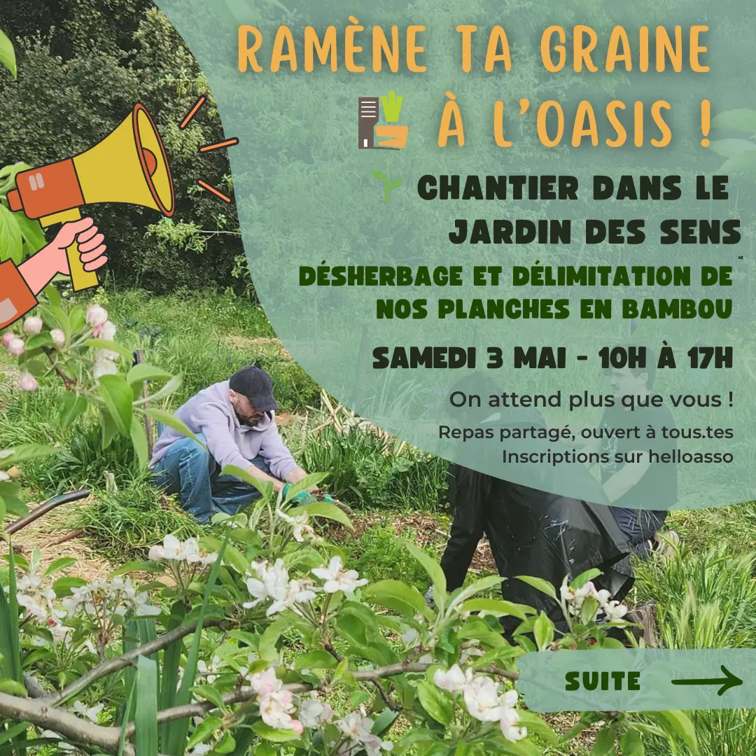 Chantier participatif - 1