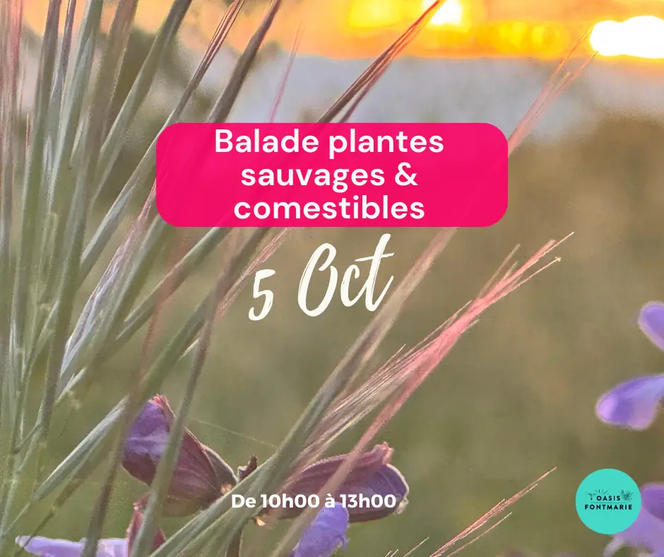 Agenda Octobre Def - 2
