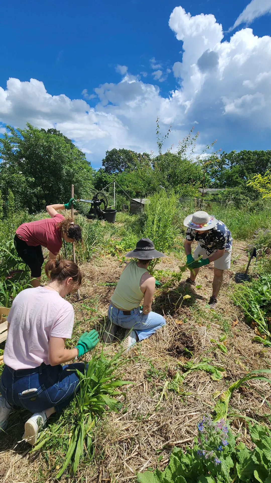 Atelier agro écologique