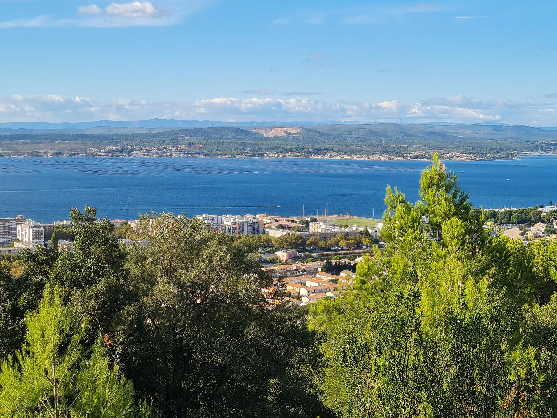Vue étang