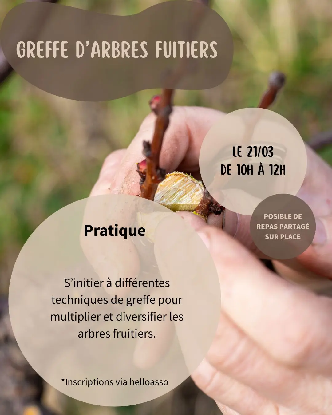 Ateliers jardin  - 21/03/26