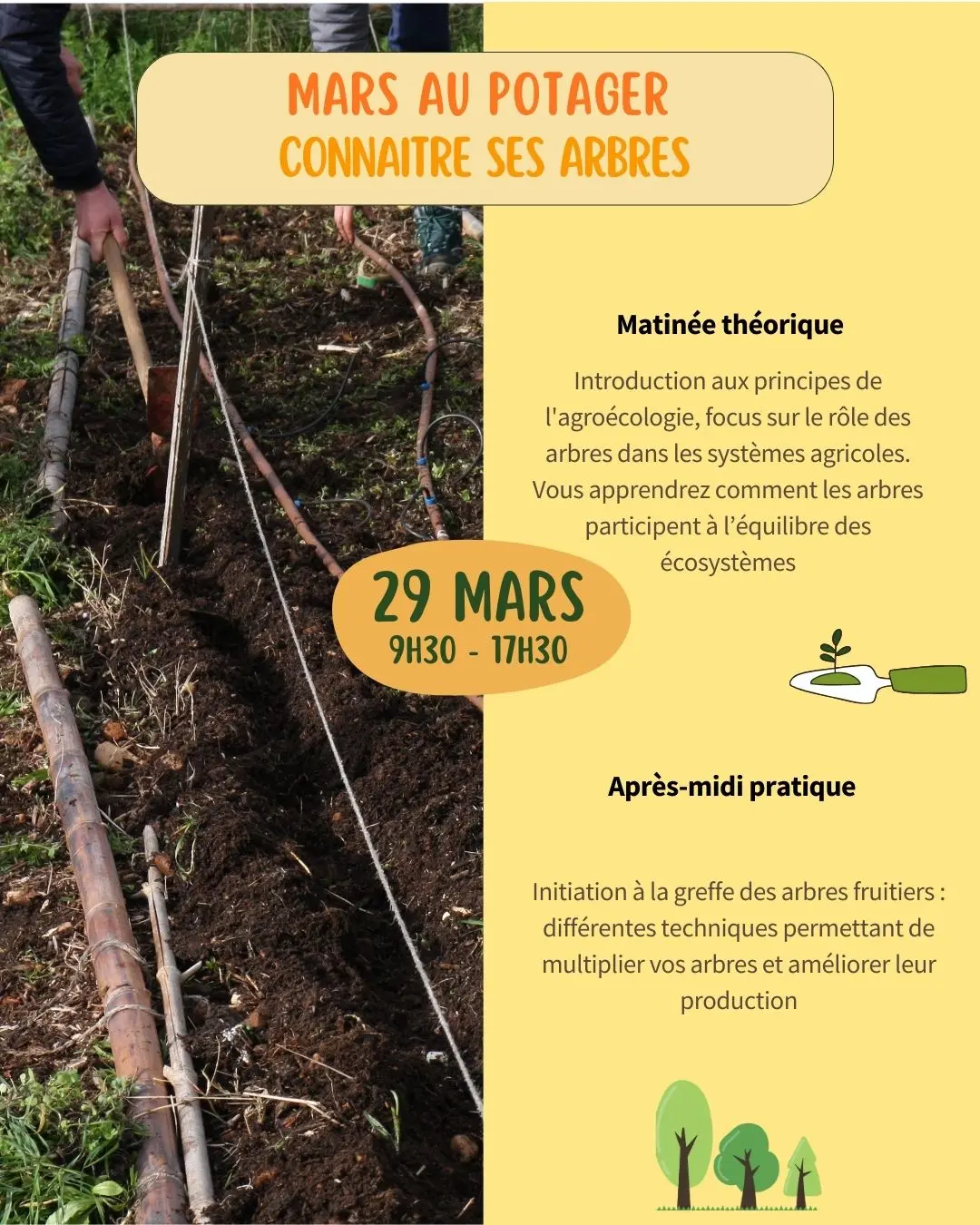 Formation post/storie - 29/03/26