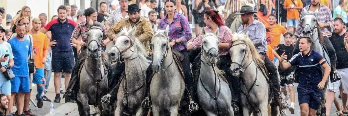 taureaux-et-chevaux-1200x400-c-center