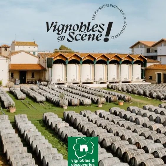 VIGNOBLES EN SCÈNE : EXPÉRIENCE EXCLUSIVE ET GOURMANDE