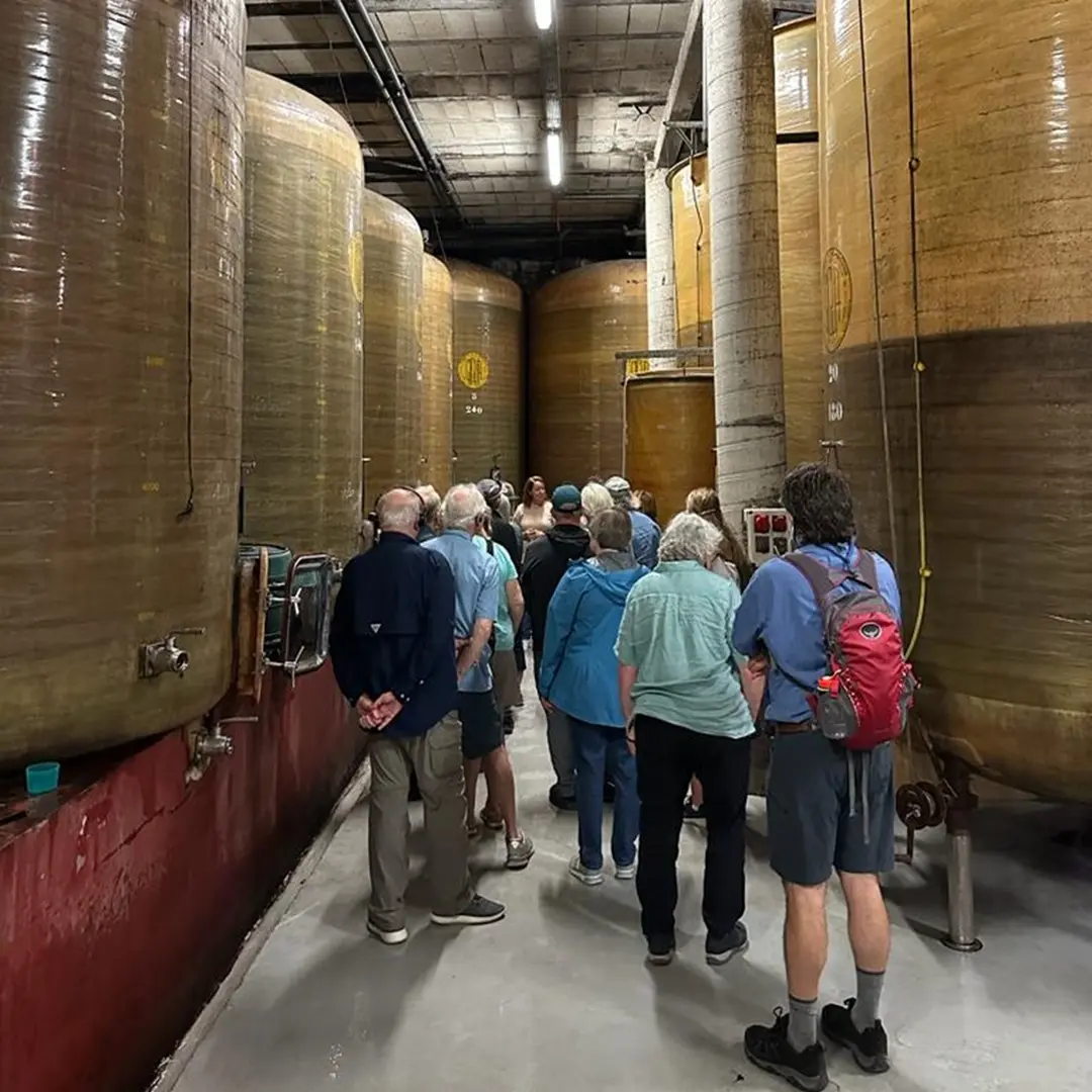 DOMAINE GUINAND - VISITES GUIDEES