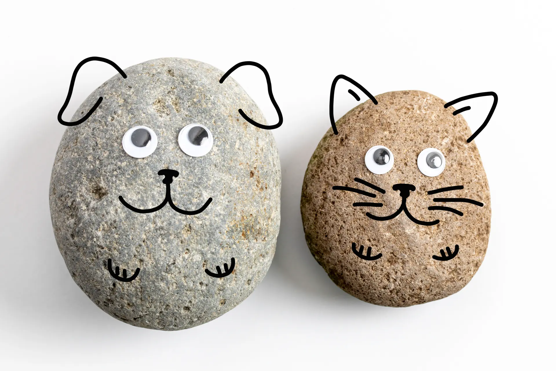 Pet Rock
