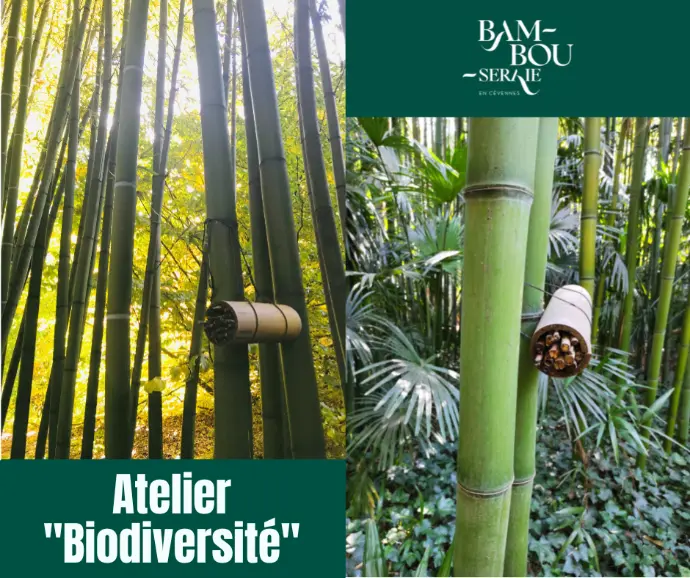 Atelier Biodiversité