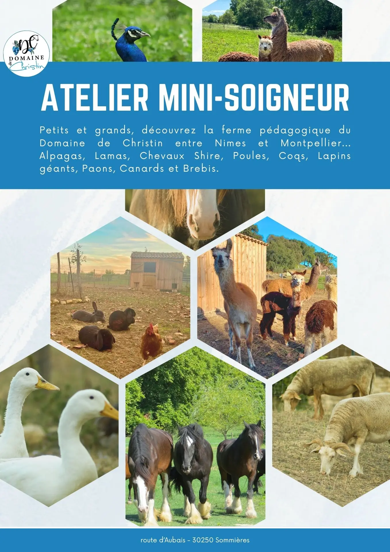 EXPERIENCE UNIQUE :  devenez soigneur d’un jour ! - 2