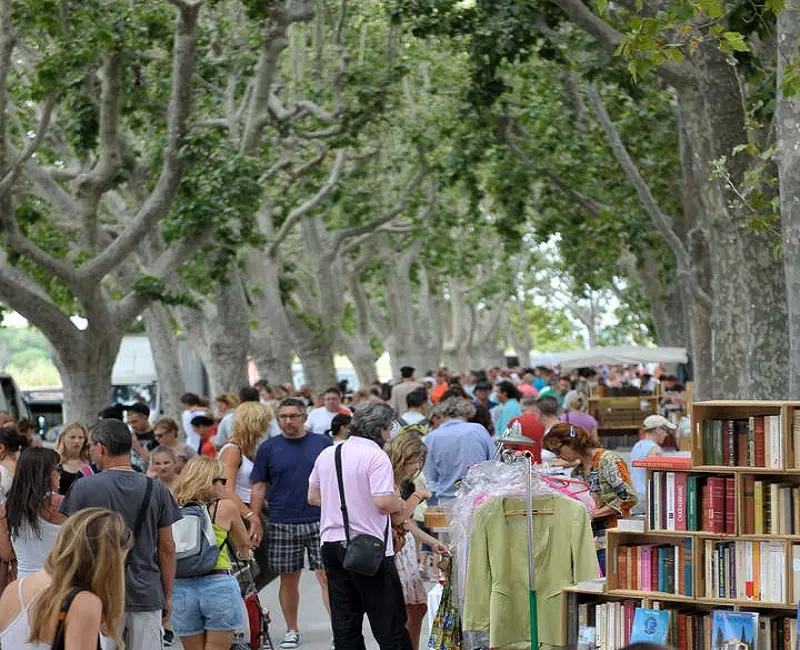 Brocante-dimanches-du-peyrou-marche-des-antiquaires_free_format