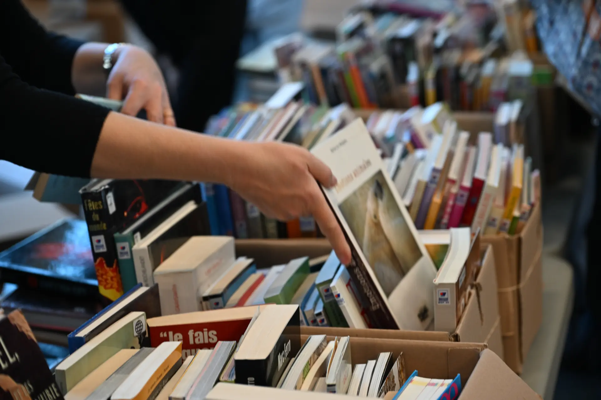 C_BRADERIE DU LIVRE PIERRES VIVES  (16) (002)