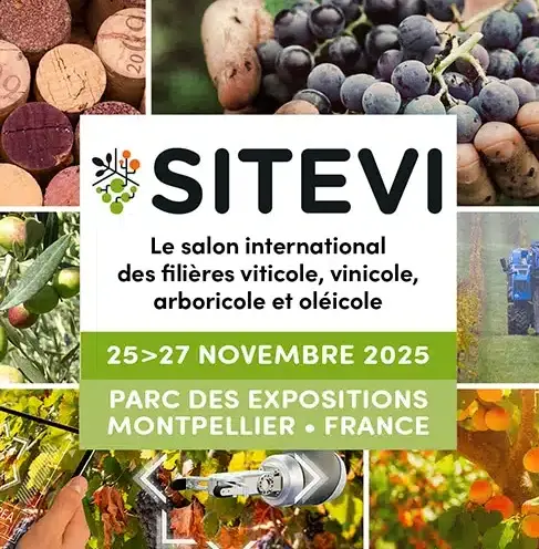 sitevi 2025