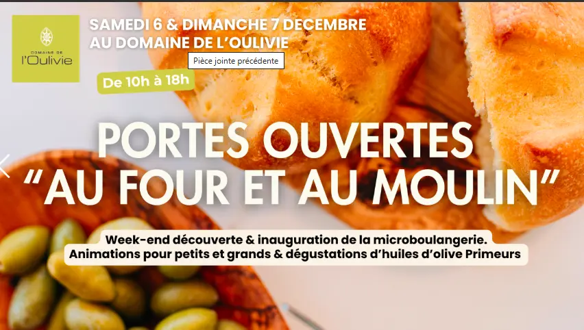 Capture d'écran 2025-12-03 204332