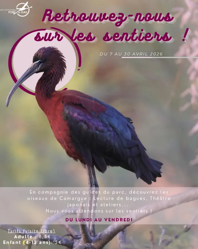 Capture d’écran 2026-04-03 à 09.29.43