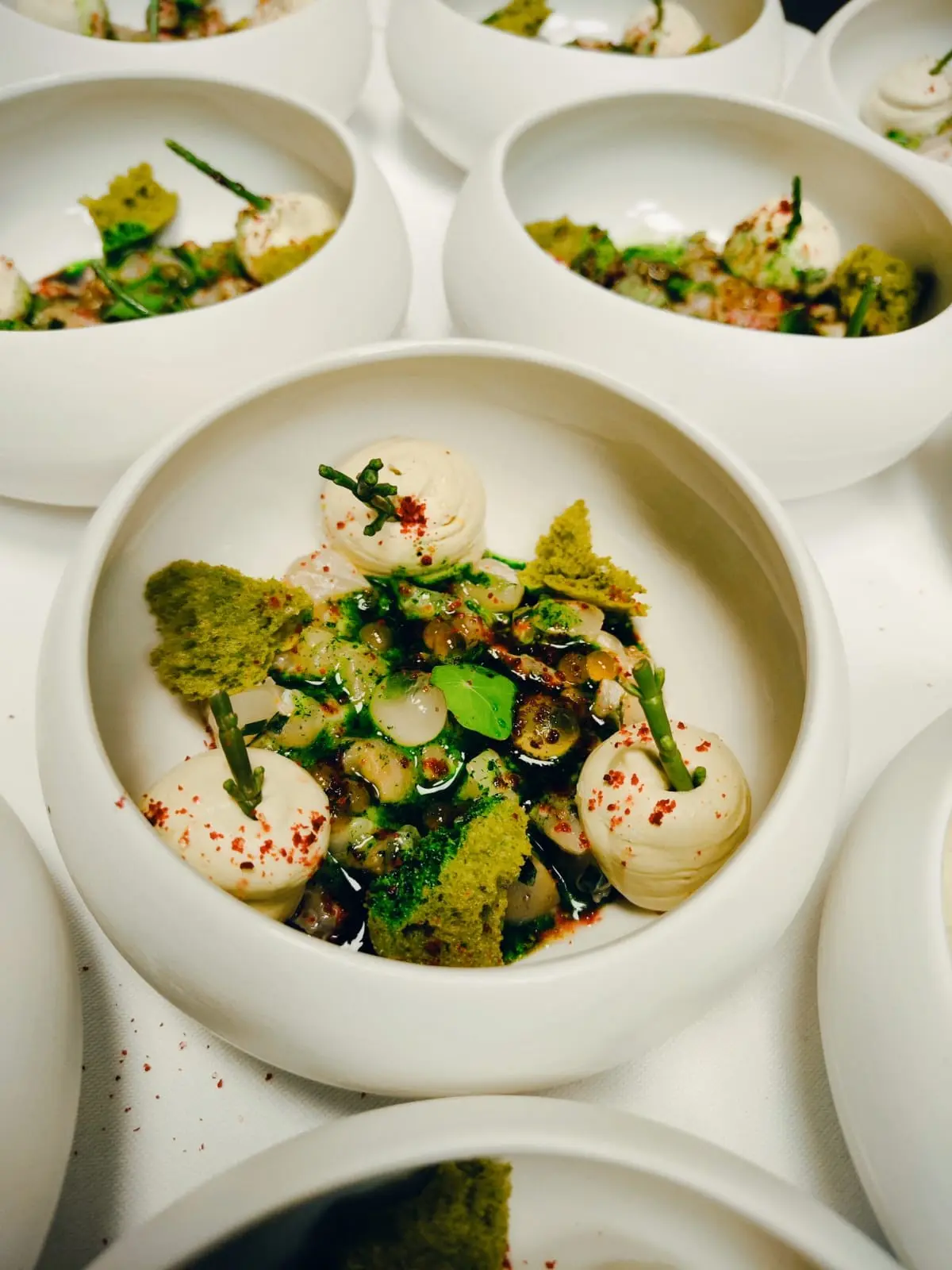 Ceviche de thon, espuma avocat et pain éponge à la coriandre