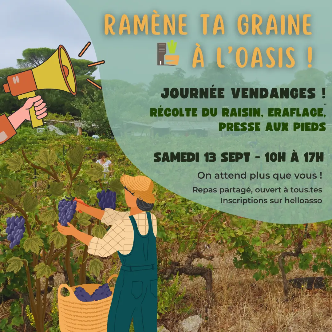 Chantier participatif - 1