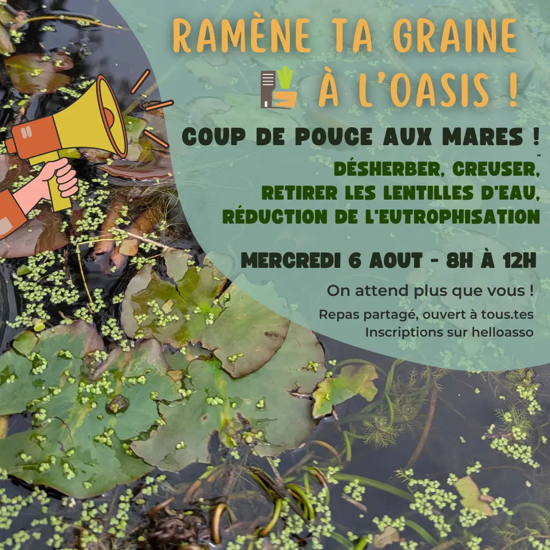Chantier participatif (4)