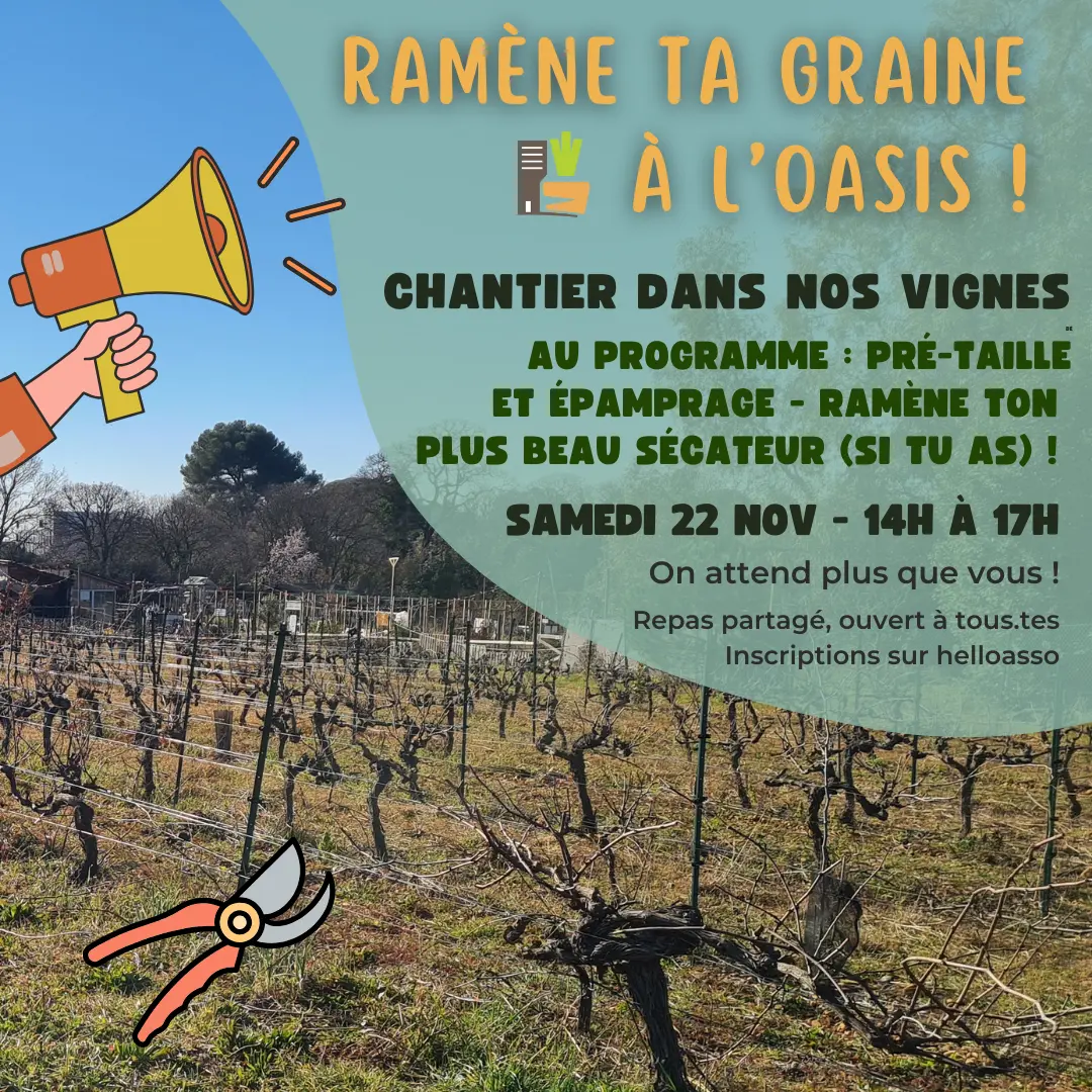 Chantier participatif - 1