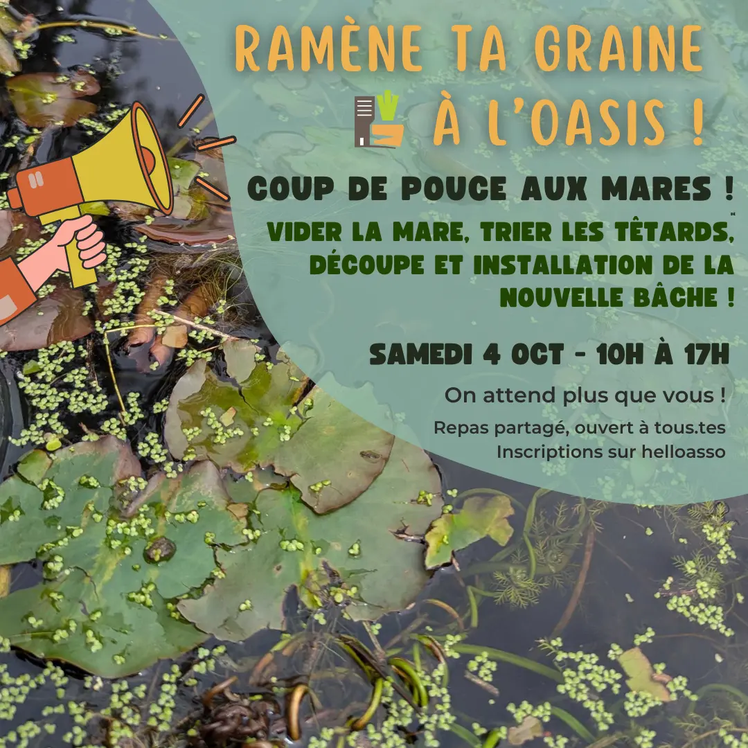 Chantier participatif - 1