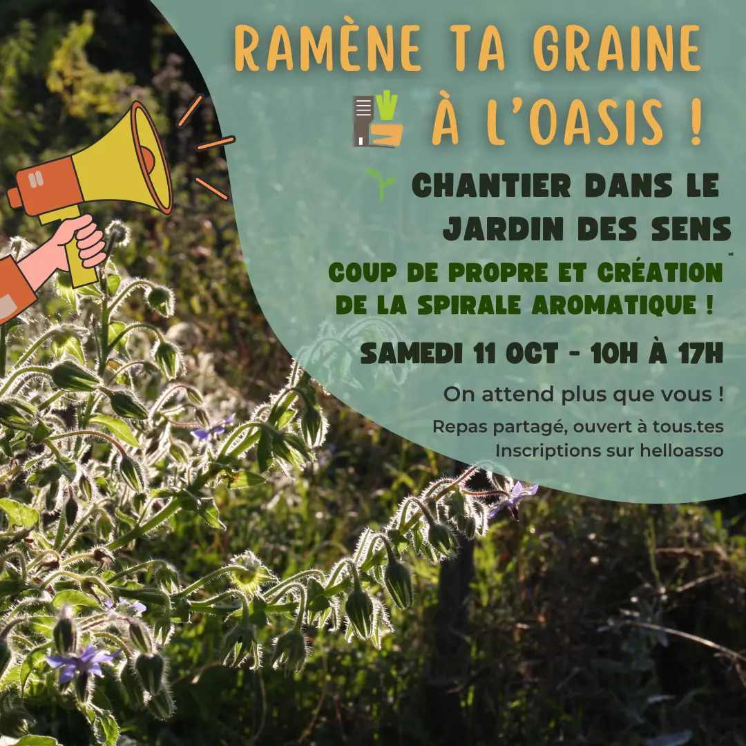 Chantier participatif - 1