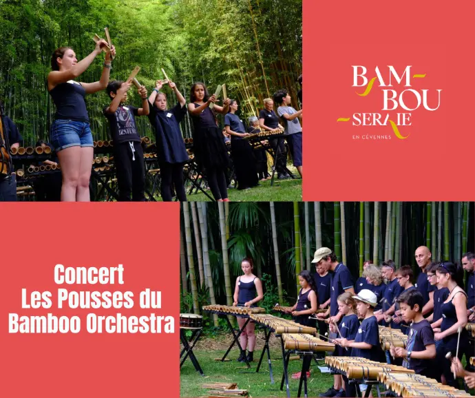 Concert Bamboo Orchestra